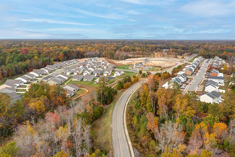 Professional Landscaper in Chesterfield County, VA