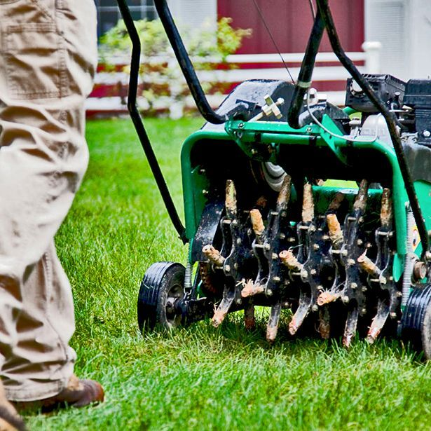 professional lawn aeration contractors Richmond VA