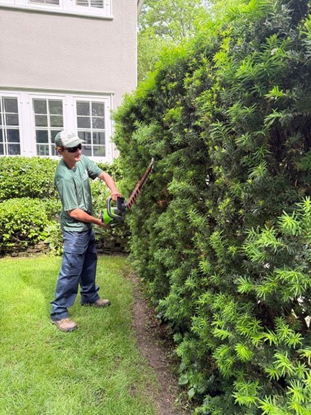 best local hedge pruning contractors Henrico VA