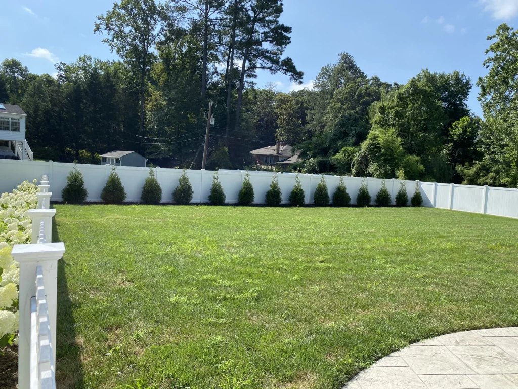 Lawn Care in Henrico, VA