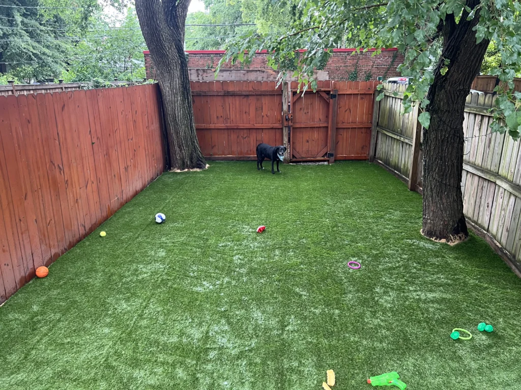 Sod Installation in Henrico, VA
