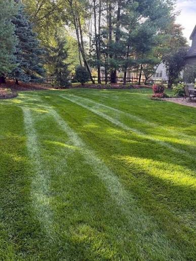 top rated local lawn mowing service Henrico VA