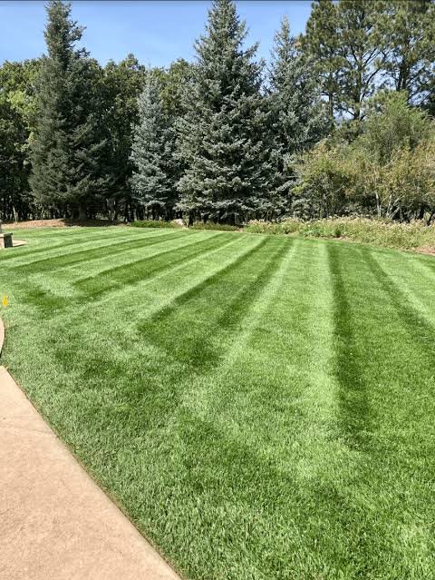 Lawn care in Henrico, VA