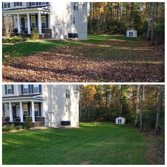 professional leaf vacuum collection Henrico VA