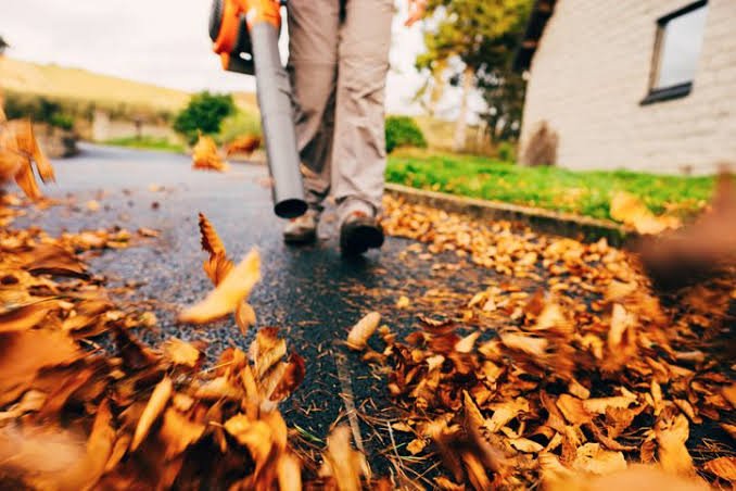 top quality fall lawn cleanup Chesterfield VA