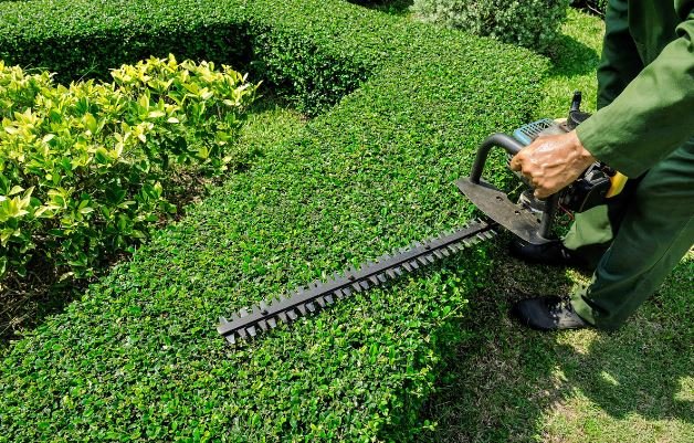 top quality landscaping company Richmond VA