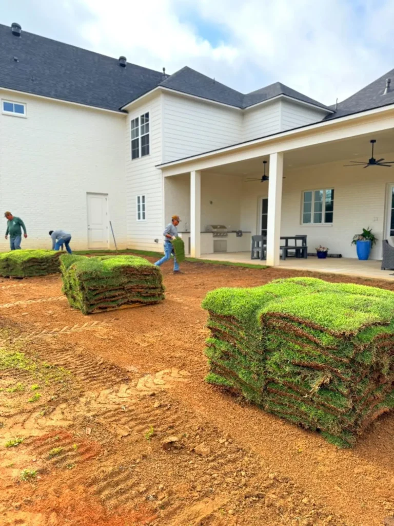 reliable lawn sod installation Henrico VA