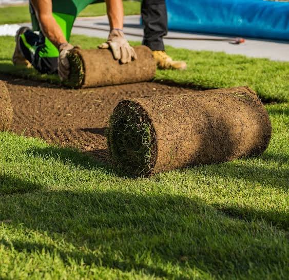 Sod Installation in Henrico, VA