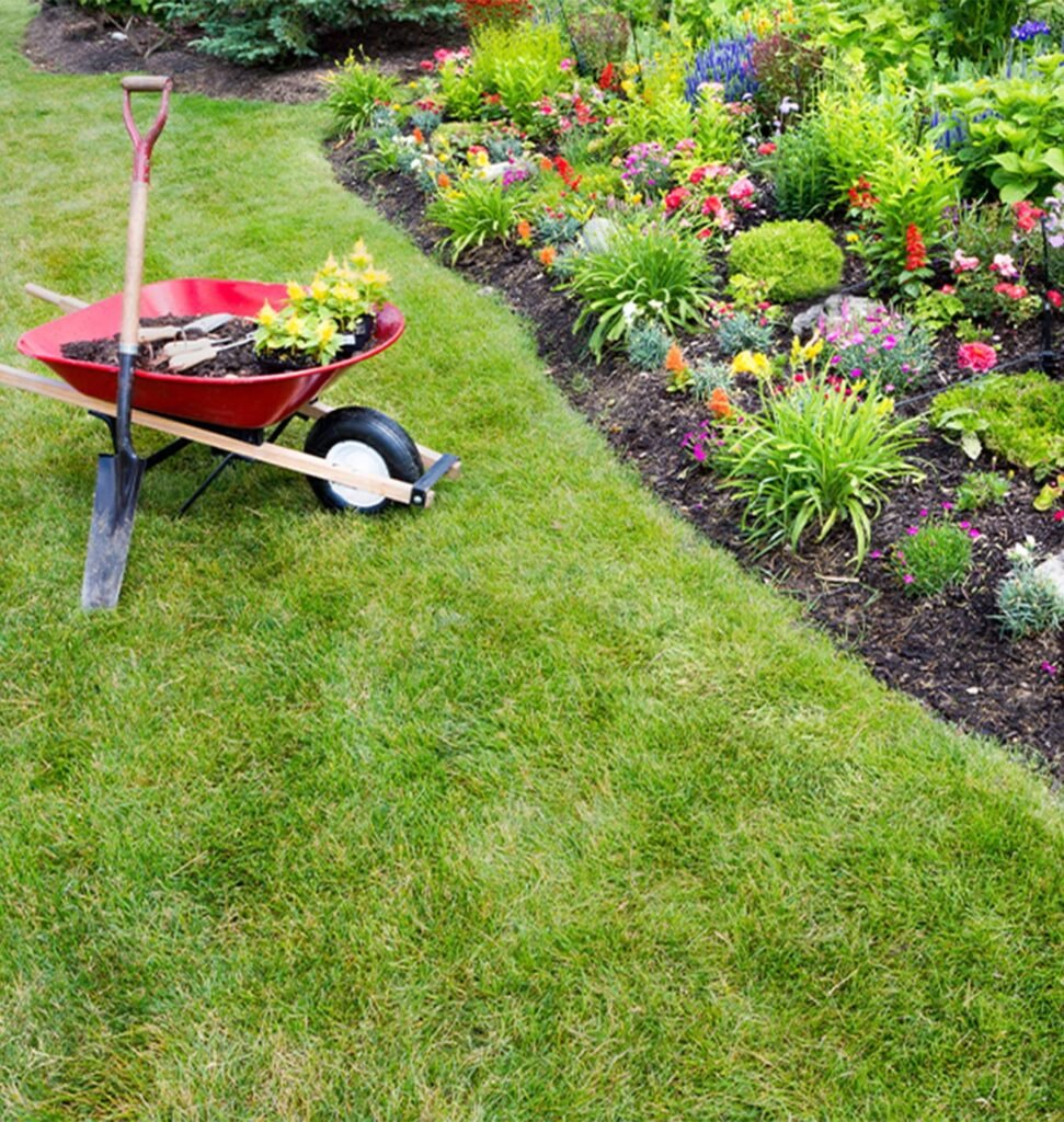 top rated spring yard cleanup Henrico VA