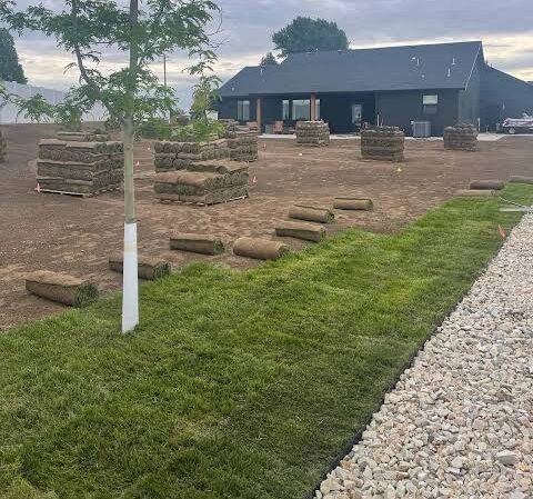 Sod Installation in Henrico, VA