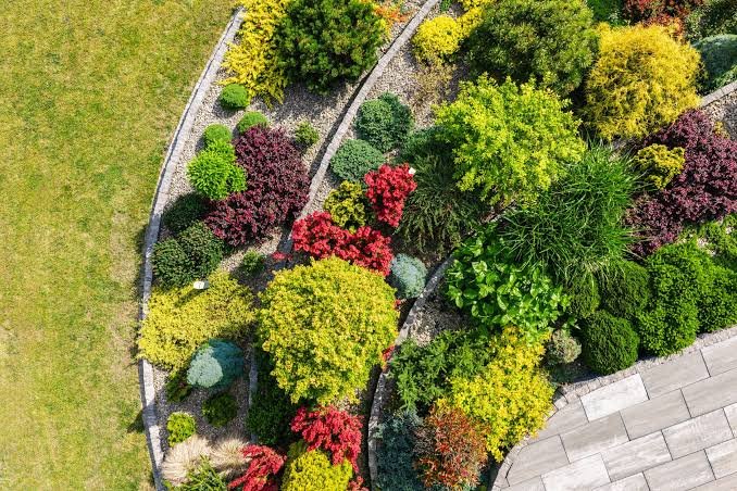 professional landscape design Henrico VA